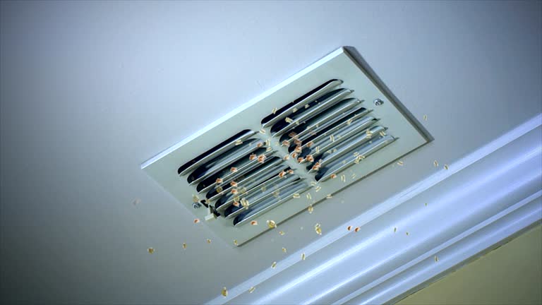 Best Ventilation Cleaning Services  in South Barre, VT