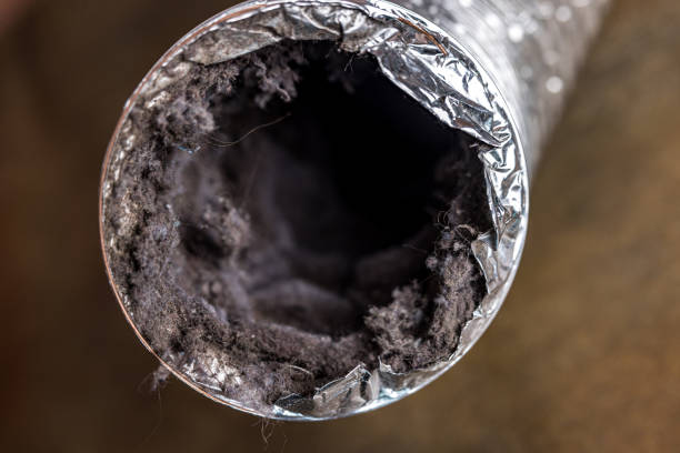 Best Best Air Duct Cleaning Company  in South Barre, VT