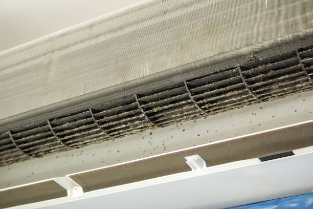 Best Professional Duct Cleaning Services  in South Barre, VT